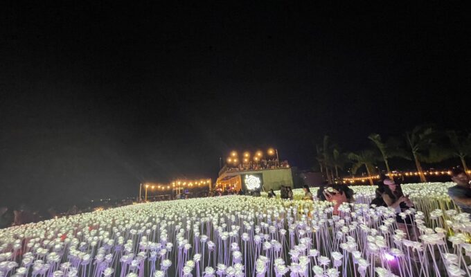 10,000roses