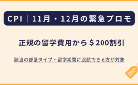 2024年11月・12月渡航者向け特別割引！