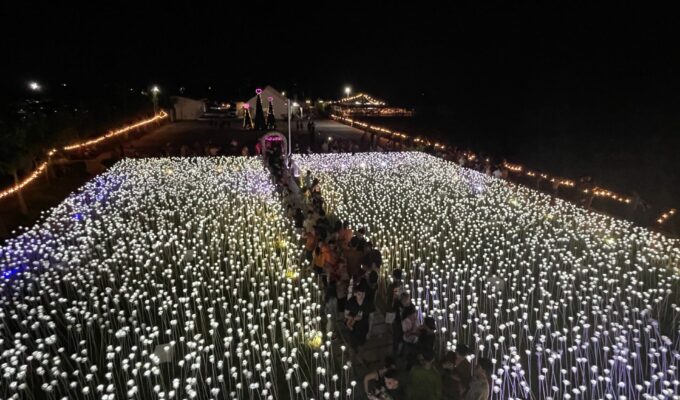 10000roses