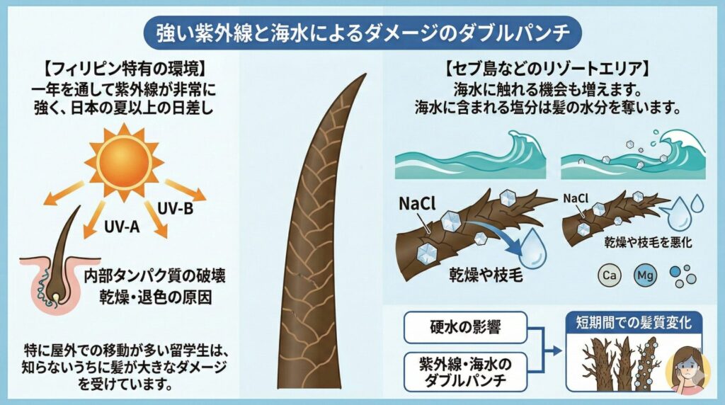 強い紫外線と海水によるダメージのダブルパンチ